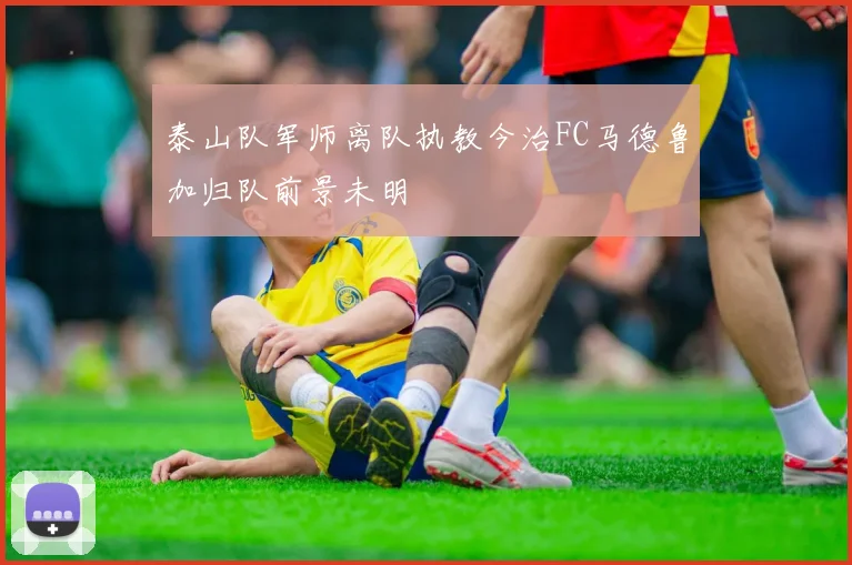 泰山队军师离队执教今治FC马德鲁加归队前景未明